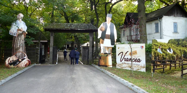 fabricat în vrancea (4) JPG
