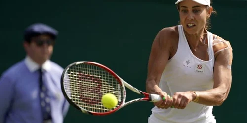 buzarnescu