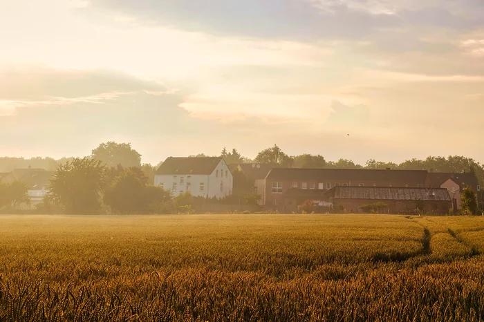 Un sat întreg a fost terorizat de un animal