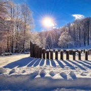 Sarmizegetusa Regia  Foto Muzeul Civilizației Dacice și Romane jpg