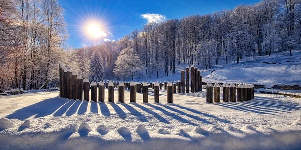 Sarmizegetusa Regia  Foto Muzeul Civilizației Dacice și Romane jpg