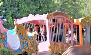 Familia Beckham jpeg