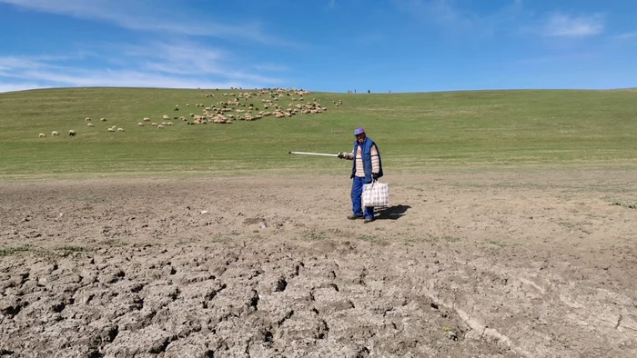 Animalele nu vor mai avea apă până la vară, se tem fermierii FOTO: A.M.