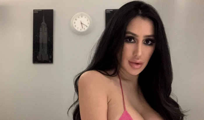 Cherri Lee are în palmares 15 operații estetice (Foto: Profimedia)