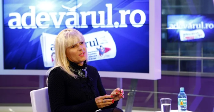 Deputatul Elena Udrea. FOTO: Davind Muntean