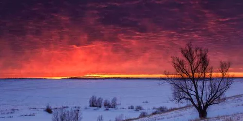 Peisaj de iarna - seara - apus - camp cu zapada - solstiutiu FOTO 123 RF 