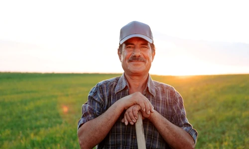 teste mediu rural jpg