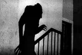 nosferatu  jpg