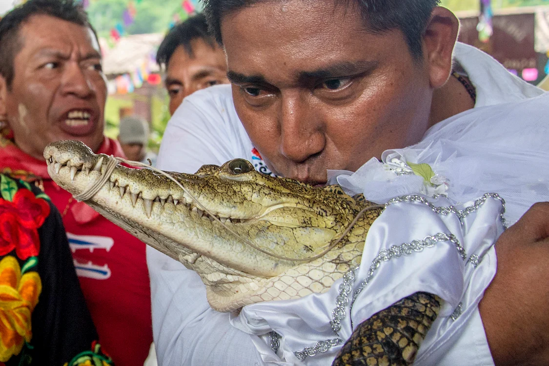 Primarul Victor Hugo Sosa a sărutat pe frunte crocodilul mireasă, 2 iulie 2023