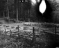 Sarmizegetusa Regia 1964  Foto Szabó Tamás, Muzeul Etnografic al Transilvaniei (26) jpg