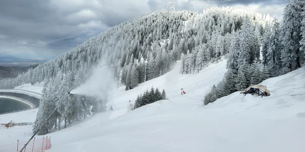 tunurile de zapada au fost puse in functiune foto faceb Primatia Mun Brasov jpg