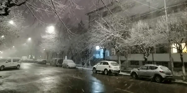 primavara frig