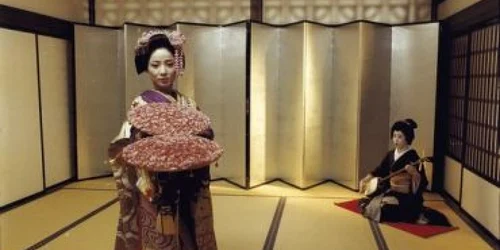 Bistriţa: Rulează la Dacia: „Inju, bestia din umbră”