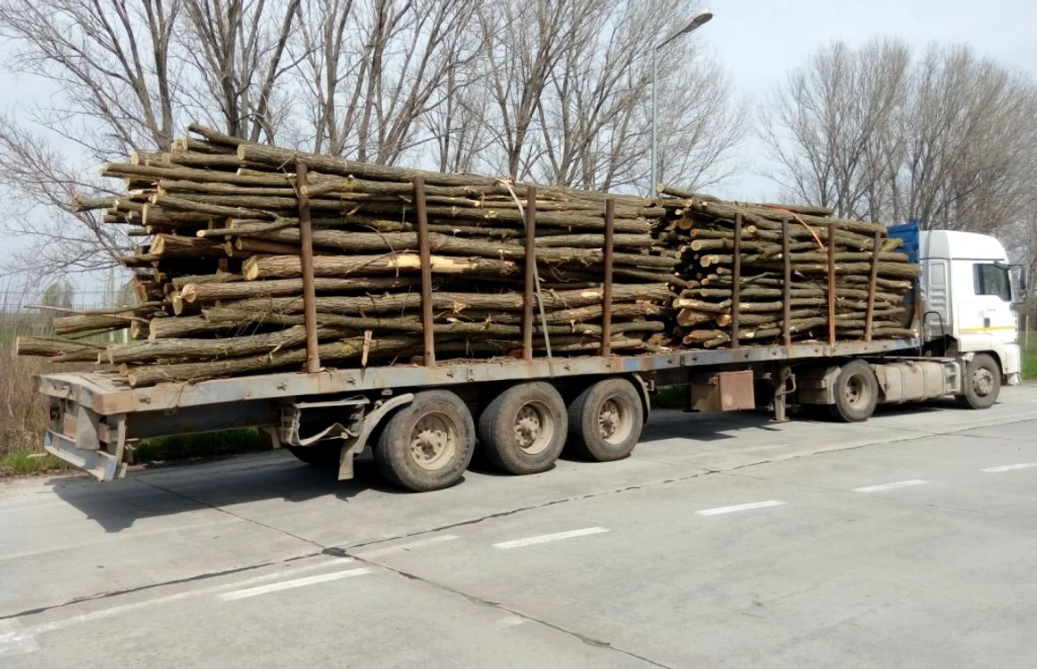 Transportul ilegal de lemne a fost sancţionat  Foto. Arhiva Adevărul
