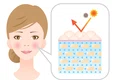 Acid hialuronic sau ceramide  Sursa foto shutterstock 1172680948 jpg