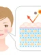 Acid hialuronic sau ceramide  Sursa foto shutterstock 1172680948 jpg