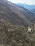 Cetatea Colț Foto Daniel Guță ADEVĂRUL (10) JPG