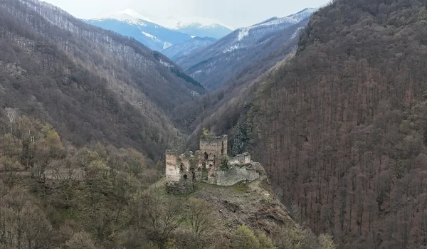 Cetatea Colț  Foto Daniel Guță  ADEVĂRUL (10) JPG