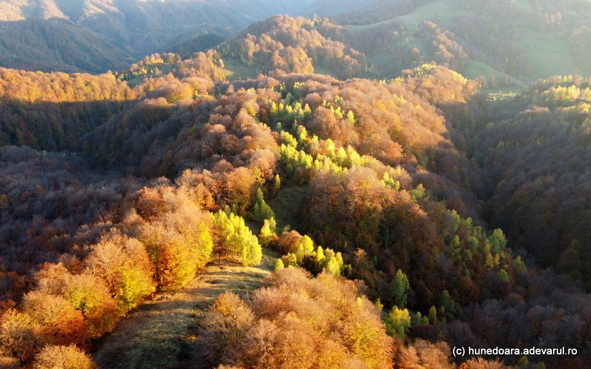 Munții Șureanu, unde ciobanii daci ar fi înființat mai multe stâne. Foto: Daniel Guță