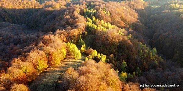 Muntii sureanu foto Daniel Guță ADEVĂRUL (2) JPG
