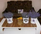 plantatie lavanda foto cosmin zafirache