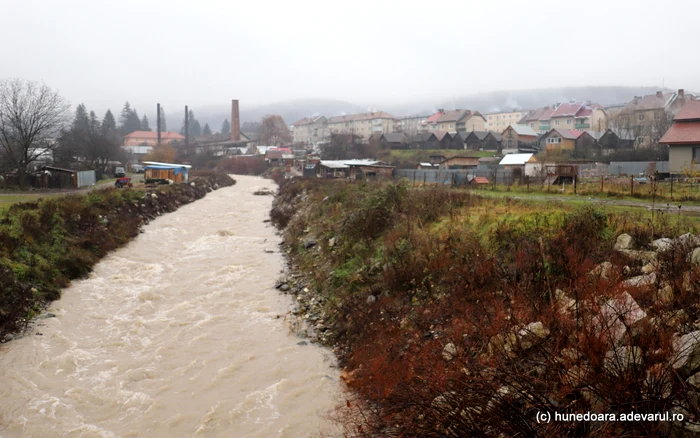 Crișul Băiței, la Nucet. Foto: Daniel Guță. ADEVĂRUL