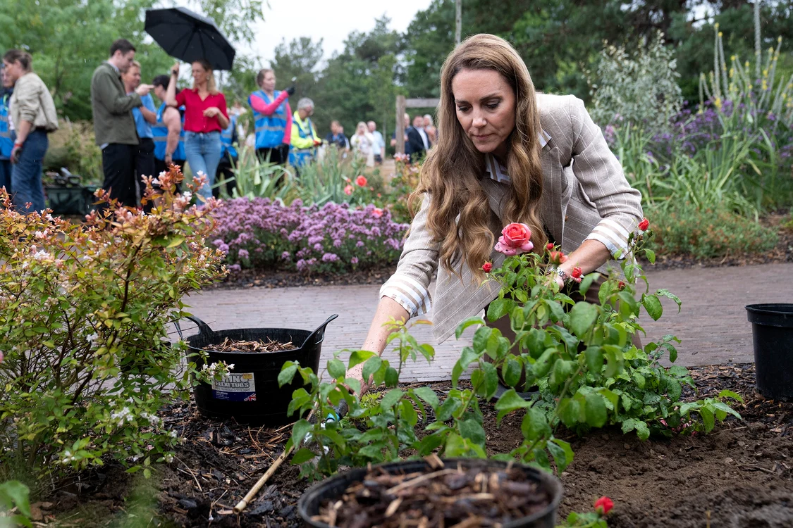 Kate la Spitalul Colchester în 2025 a plantat trandafirul Catherine, Profimedia (3) jpg