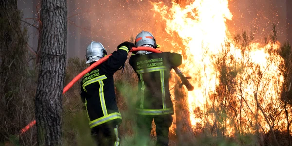 Incendii Franța. FOTO EPA-EFE