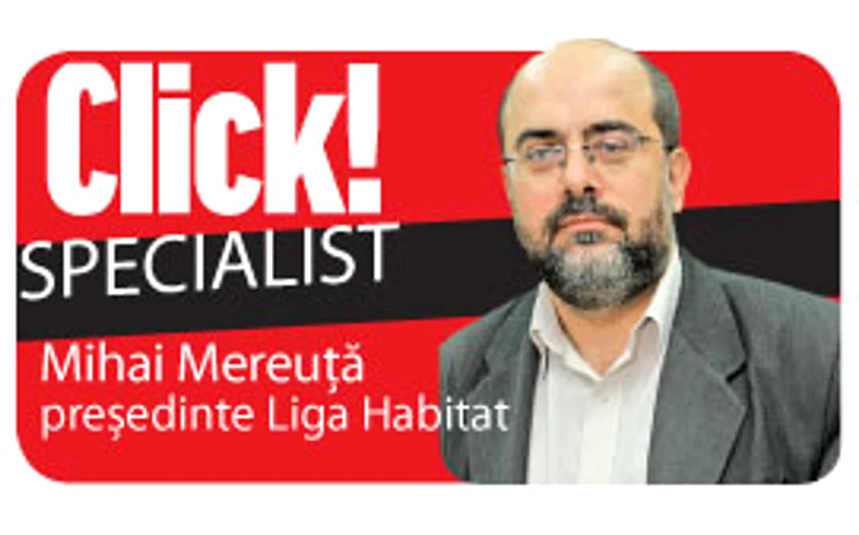 Mihai Mereuta