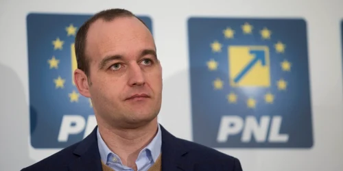 dan vilceanu valceanu foto mediafax alexandra pandrea