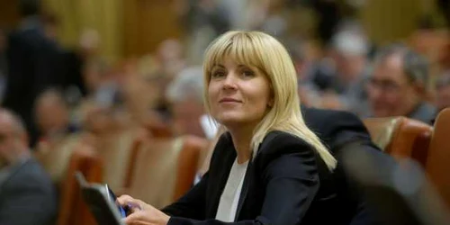 Elena Udrea vot Camera Deputatilor arestare FOTO Mediafax
