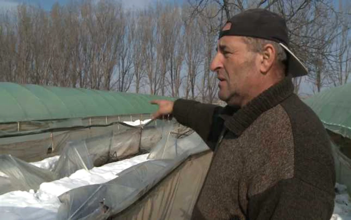 Ţăranii au fost ocoliţi de firmele de asigurări care nu au vrut să le asigure solariile