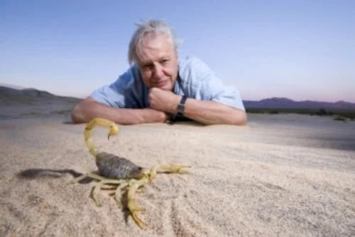 857723908a46f7840139e4b84aeadc9b jpg jpeg