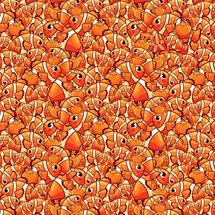 Unde se află steaua de mare