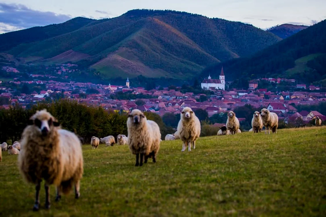 Rășinari, satul care a pus România pe harta turismului mondial Foto: Primăria Rășinari-FB