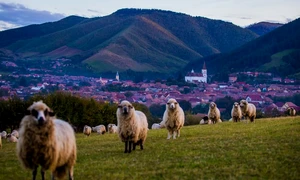 666657282 1344472467708194 3080757531129207551 n jpg