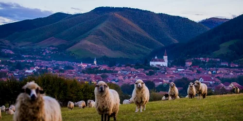 666657282 1344472467708194 3080757531129207551 n jpg