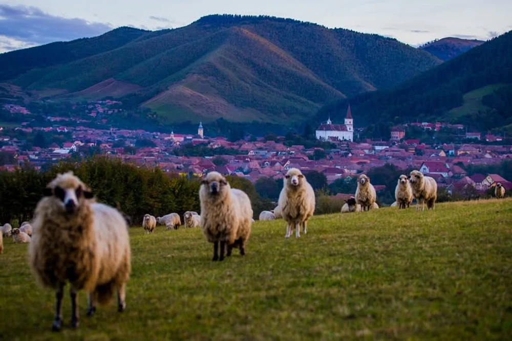 Satele de poveste ale României: începe selecția localităților rurale care pot promova turismul românesc în lume, la „Best Tourism Villages”
