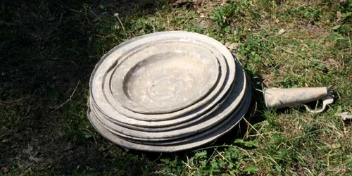 descoperiri bistrita 7