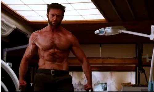 wolverine jpeg