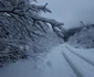 Drumul Hunedoara Caraș Severin pe Valea Cernei Foto Daniel Guță (27) JPG