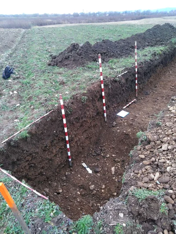 Vestigii arheologice descoperite pe traseul viitoarei Centuri a orașului Baia Mare (foto: Muzeul Județean de Istorie și Arheologie Maramureș)
