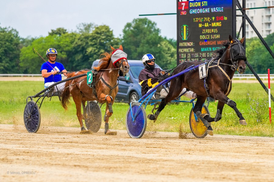 Marele Derby Regal al României la Trap, eveniment găzduit de Hipodromul Ploiești, duminică 9 iulie