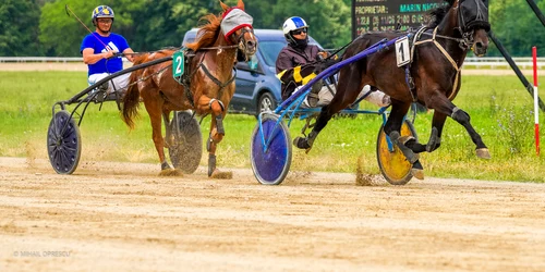Marele Derby Regal al României la Trap. FOTO Facebook