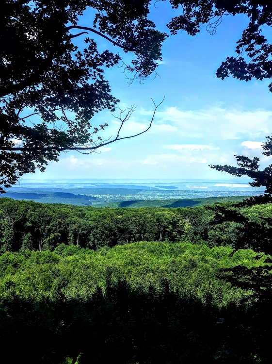 Panoramă de la masa talharilor FOTO Ionuț Haidău