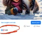 comentariu AI pagina falsa Facebook foto Facebook Andrei Buse jpg