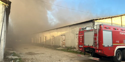 incendiu volcuntari isu jpeg