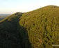 Valea Sibișelului din Huneoara Foto Daniel Guță ADEVĂRUL (22) JPG