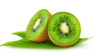 kiwi 40111208 xl jpeg