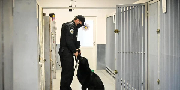 Bond - câinele de urmă al Poliţiei Judeţene Sibiu Foto Poliţia Sibiu